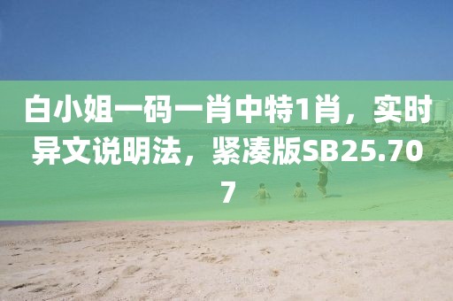 白小姐一码一肖中特1肖，实时异文说明法，紧凑版SB25.707