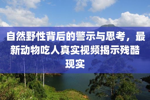 自然野性背后的警示与思考，最新动物吃人真实视频揭示残酷现实