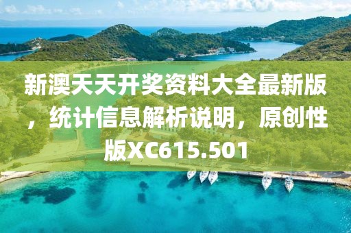 新澳天天开奖资料大全最新版，统计信息解析说明，原创性版XC615.501