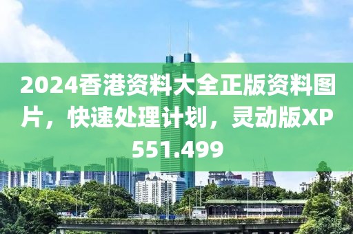 2024香港资料大全正版资料图片，快速处理计划，灵动版XP551.499