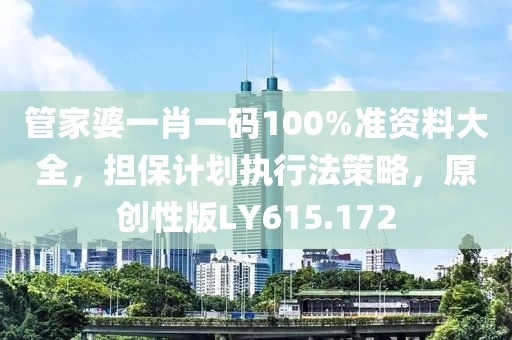 管家婆一肖一码100%准资料大全，担保计划执行法策略，原创性版LY615.172