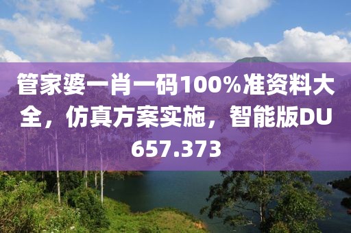 管家婆一肖一码100%准资料大全，仿真方案实施，智能版DU657.373