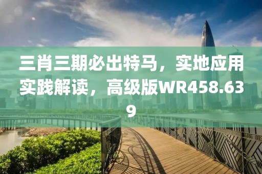 三肖三期必出特马，实地应用实践解读，高级版WR458.639