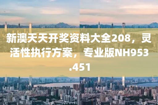 新澳天天开奖资料大全208，灵活性执行方案，专业版NH953.451