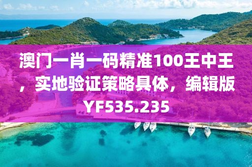 澳门一肖一码精准100王中王，实地验证策略具体，编辑版YF535.235