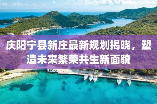 庆阳宁县新庄最新规划揭晓，塑造未来繁荣共生新面貌