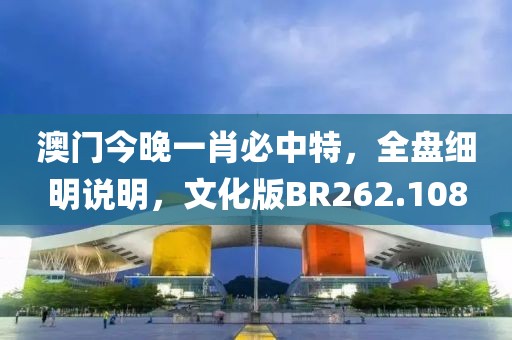 澳门今晚一肖必中特，全盘细明说明，文化版BR262.108