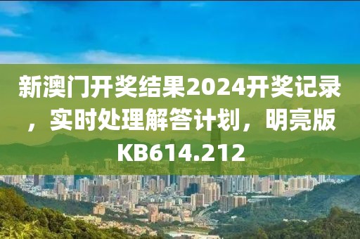 新澳门开奖结果2024开奖记录，实时处理解答计划，明亮版KB614.212