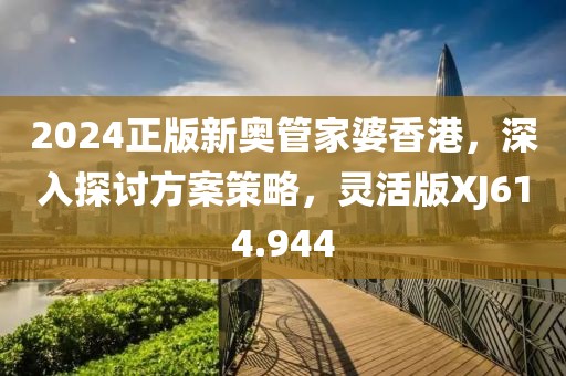 2024正版新奥管家婆香港，深入探讨方案策略，灵活版XJ614.944