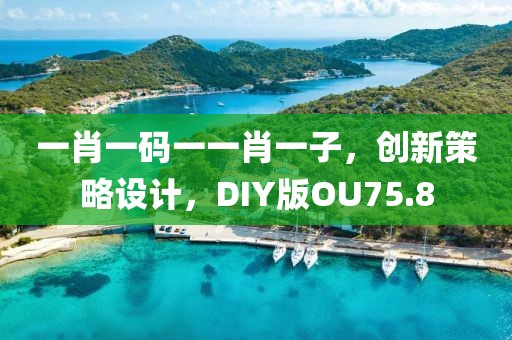 一肖一码一一肖一子，创新策略设计，DIY版OU75.8