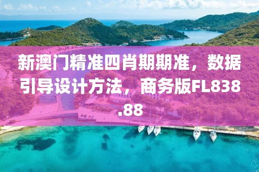 新澳门精准四肖期期准，数据引导设计方法，商务版FL838.88