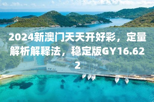 2024新澳门天天开好彩，定量解析解释法，稳定版GY16.622