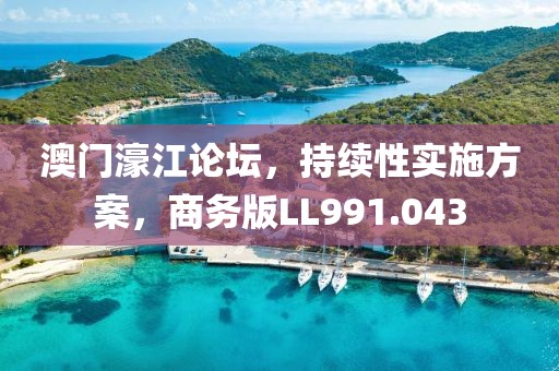 澳门濠江论坛，持续性实施方案，商务版LL991.043