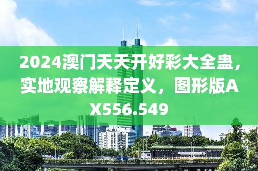 2024澳门天天开好彩大全蛊，实地观察解释定义，图形版AX556.549