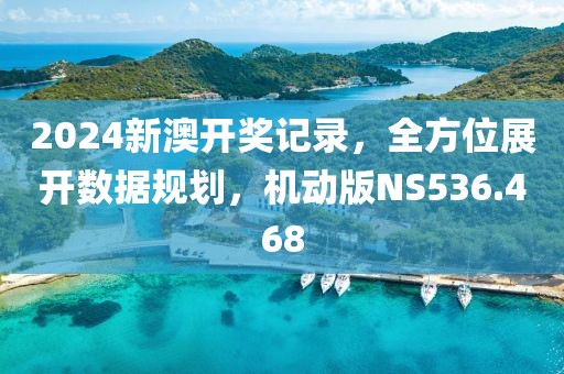 2024新澳开奖记录，全方位展开数据规划，机动版NS536.468