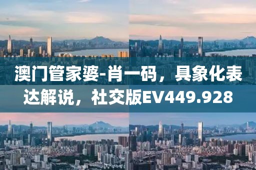 澳门管家婆-肖一码，具象化表达解说，社交版EV449.928