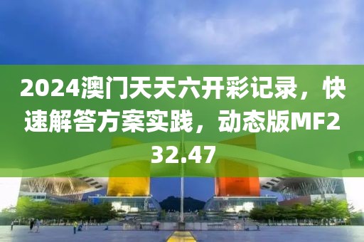 2024澳门天天六开彩记录，快速解答方案实践，动态版MF232.47