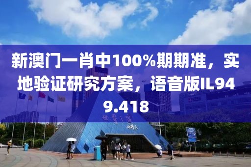 新澳门一肖中100%期期准，实地验证研究方案，语音版IL949.418