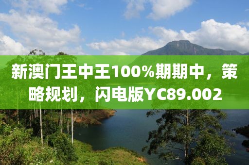 新澳门王中王100%期期中，策略规划，闪电版YC89.002