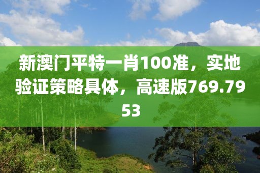 新澳门平特一肖100准，实地验证策略具体，高速版769.7953