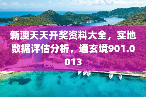 新澳天天开奖资料大全，实地数据评估分析，通玄境901.0013