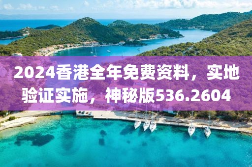 2024香港全年免费资料，实地验证实施，神秘版536.2604