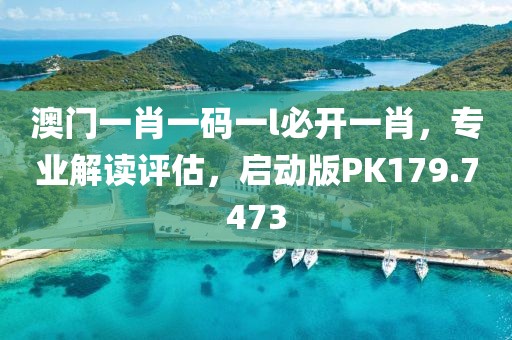 澳门一肖一码一l必开一肖，专业解读评估，启动版PK179.7473