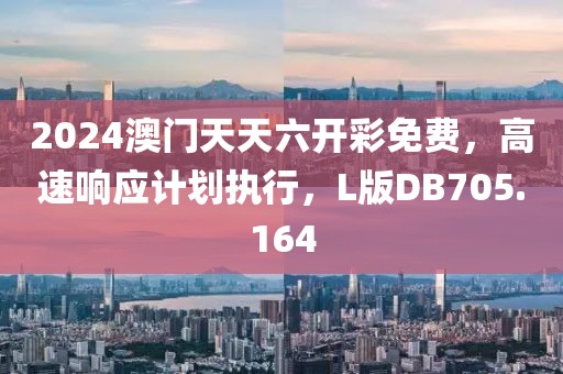 2024澳门天天六开彩免费，高速响应计划执行，L版DB705.164