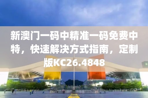 新澳门一码中精准一码免费中特，快速解决方式指南，定制版KC26.4848