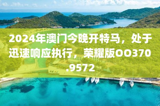 2024年澳门今晚开特马，处于迅速响应执行，荣耀版OO370.9572