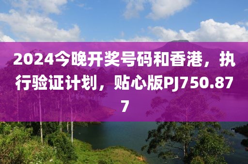 2024今晚开奖号码和香港，执行验证计划，贴心版PJ750.877