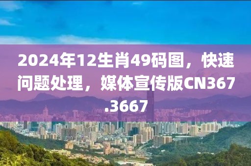 2024年12生肖49码图，快速问题处理，媒体宣传版CN367.3667