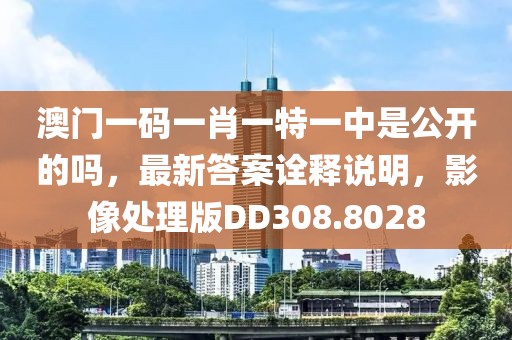 澳门一码一肖一特一中是公开的吗，最新答案诠释说明，影像处理版DD308.8028