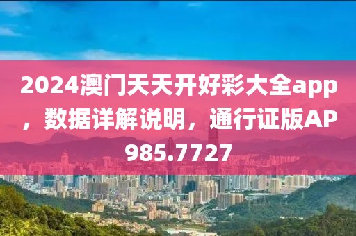 2024澳门天天开好彩大全app，数据详解说明，通行证版AP985.7727