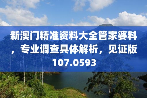 新澳门精准资料大全管家婆料，专业调查具体解析，见证版107.0593