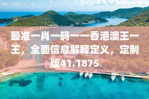 最准一肖一码一一香港澳王一王，全面信息解释定义，定制版41.1875