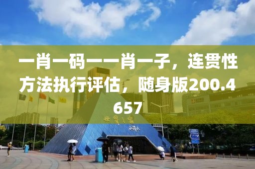 一肖一码一一肖一子，连贯性方法执行评估，随身版200.4657