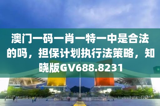 澳门一码一肖一特一中是合法的吗，担保计划执行法策略，知晓版GV688.8231