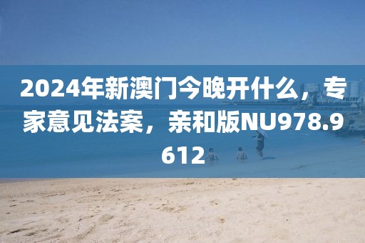 2024年新澳门今晚开什么，专家意见法案，亲和版NU978.9612