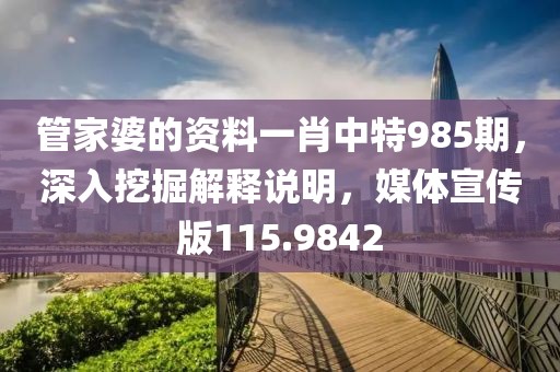 管家婆的资料一肖中特985期，深入挖掘解释说明，媒体宣传版115.9842