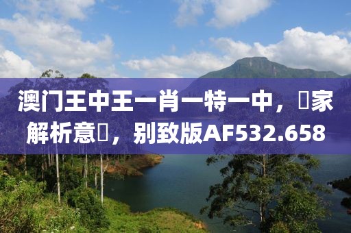 澳门王中王一肖一特一中，專家解析意見，别致版AF532.658