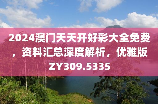 2024澳门天天开好彩大全免费，资料汇总深度解析，优雅版ZY309.5335