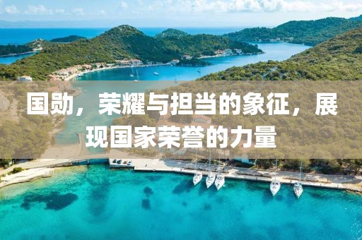 国勋，荣耀与担当的象征，展现国家荣誉的力量