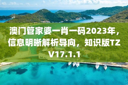 澳门管家婆一肖一码2023年，信息明晰解析导向，知识版TZV17.1.1