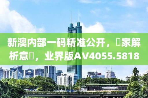 新澳内部一码精准公开，專家解析意見，业界版AV4055.5818