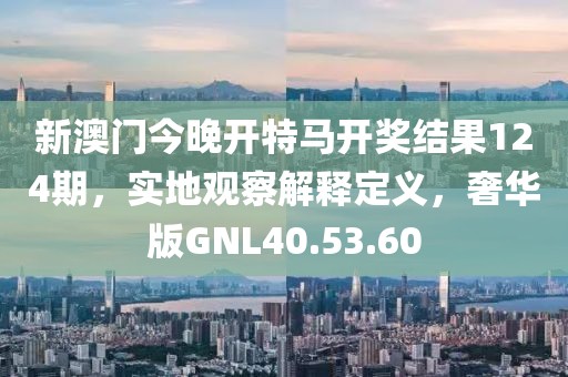 新澳门今晚开特马开奖结果124期，实地观察解释定义，奢华版GNL40.53.60