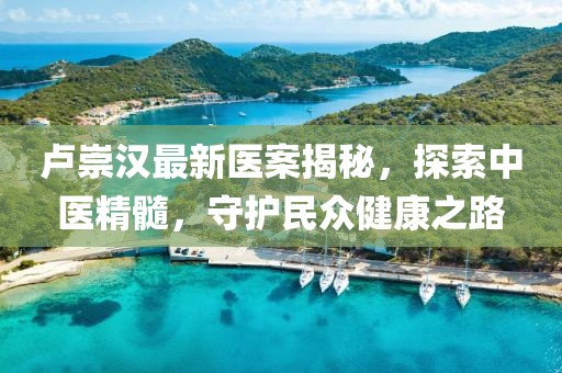 卢崇汉最新医案揭秘，探索中医精髓，守护民众健康之路