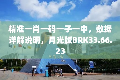 精准一肖一码一子一中，数据详解说明，月光版BRK33.66.23