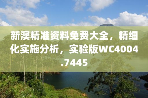 新澳精准资料免费大全，精细化实施分析，实验版WC4004.7445