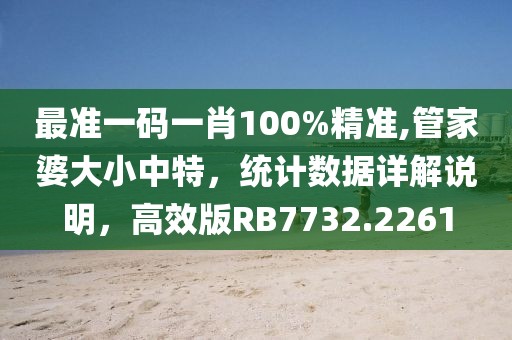 最准一码一肖100%精准,管家婆大小中特，统计数据详解说明，高效版RB7732.2261